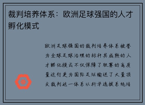 裁判培养体系：欧洲足球强国的人才孵化模式